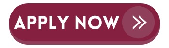 apply now button apply now button